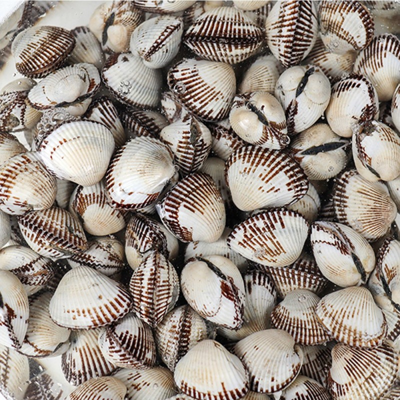 새꼬막 대 1kg 80-85미