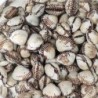 새꼬막 왕대 1kg 60-70미
