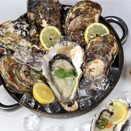 삼배체굴 1kg 2-4미